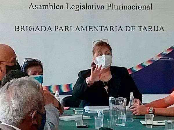 Diputada Plurinacional Esther Sanchez