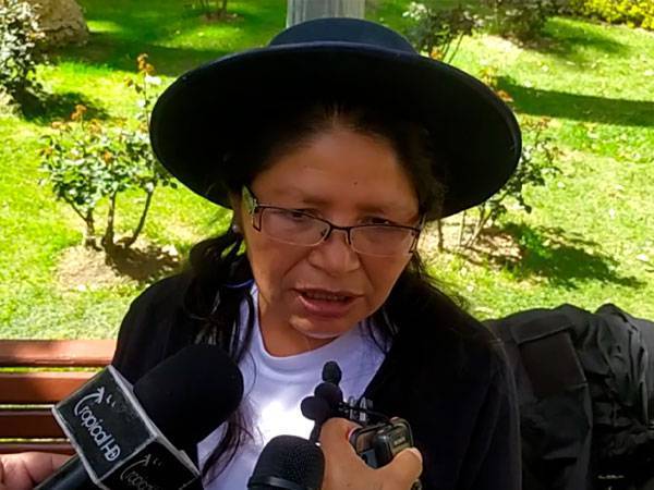 Natividad Román, voluntaria caminata Chaguaya