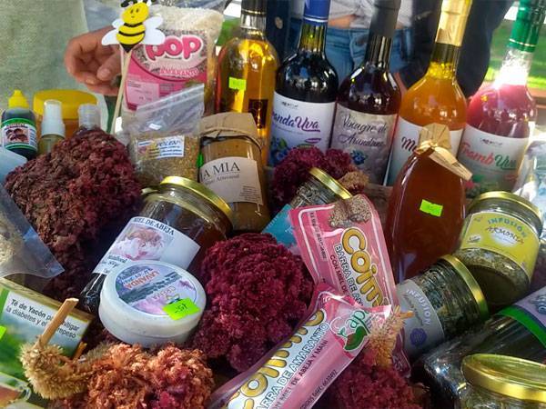 Ruta alternativa del Vino