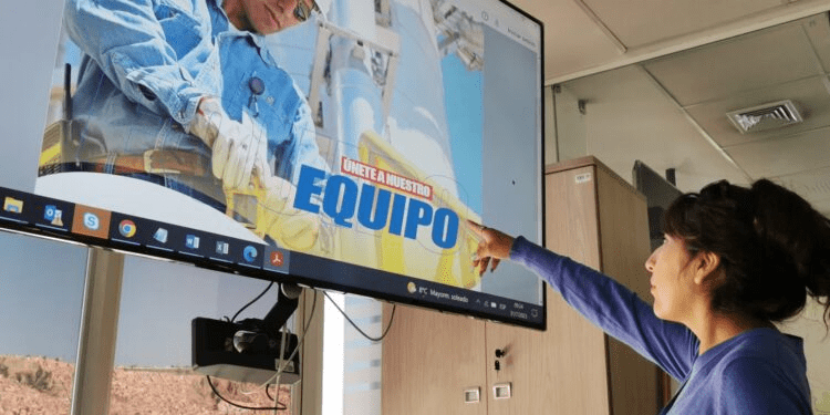 Convocatoria YPFB, El Diario