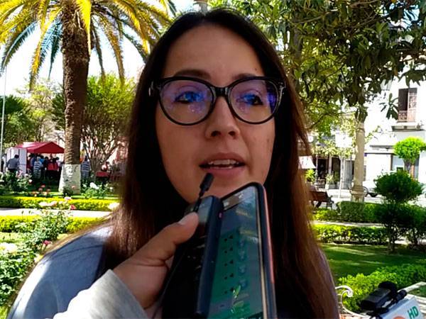 Luciana Campero Chávez, Diputada Nacional
