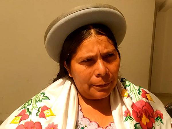 Marina Hoyos, Asambleísta del MAS