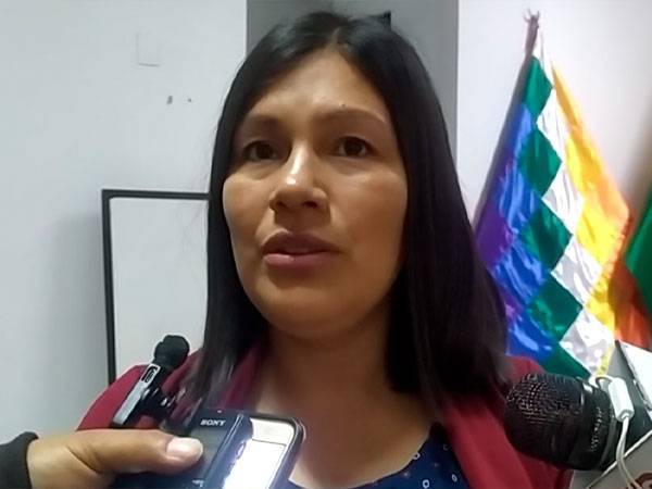 Viviana Aparicio, Brigada Parlamentaria