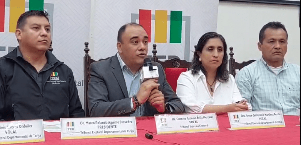 Vocal del Tribunal Supremo Electoral (TSE), Gustavo Ávila