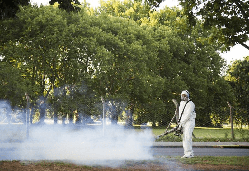Campaña de fumigación