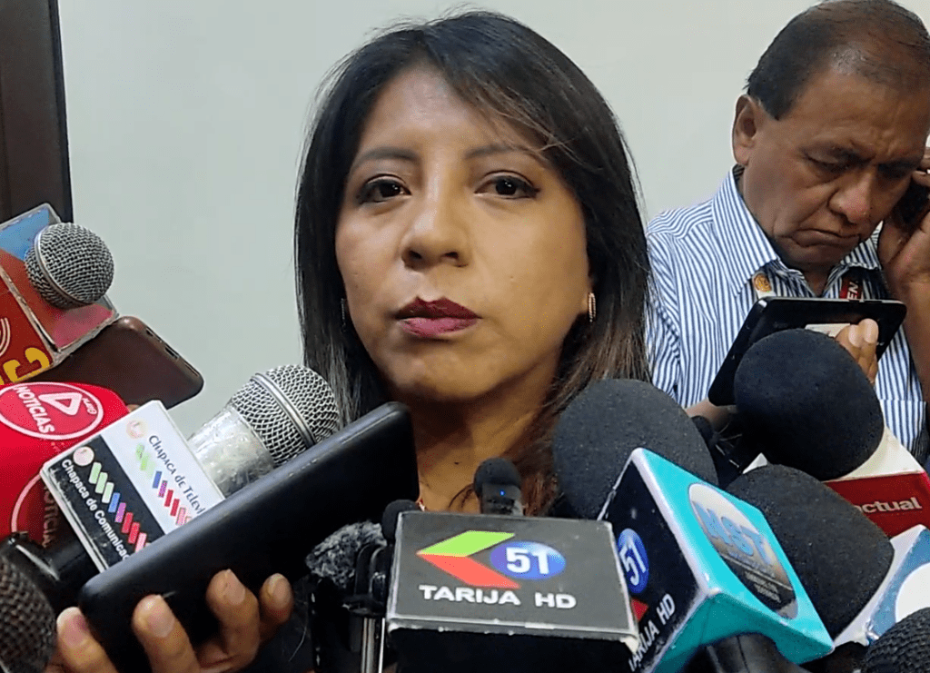 Nadia Cruz Tarifa, Viceministra Igualdad de Oportunidad