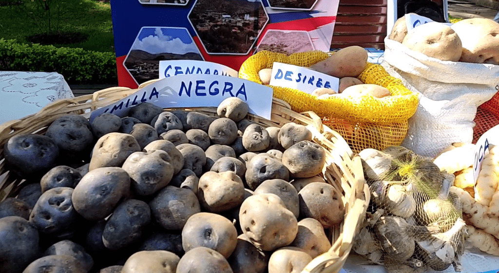 Feria de la Papa