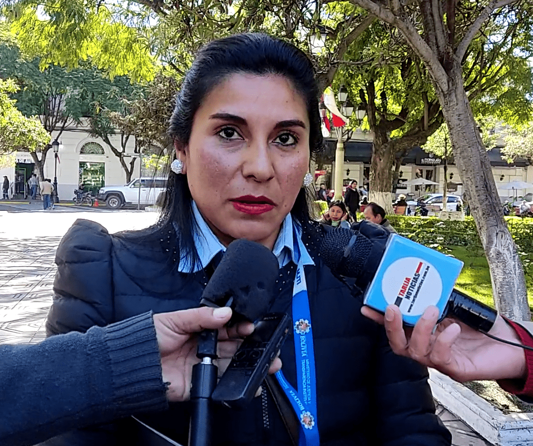Silvia Palacios, Viceministerio Tarija