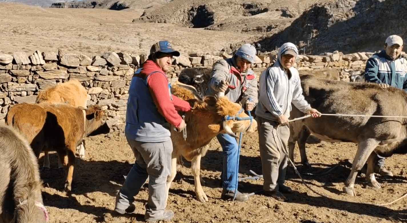 Campaña de Desparasitación
