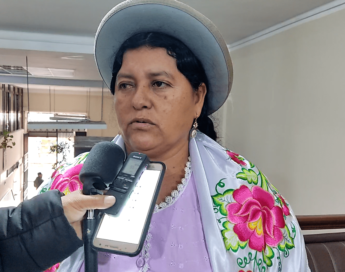 Dilma Ordoñez, Asambleísta Regional del Chaco