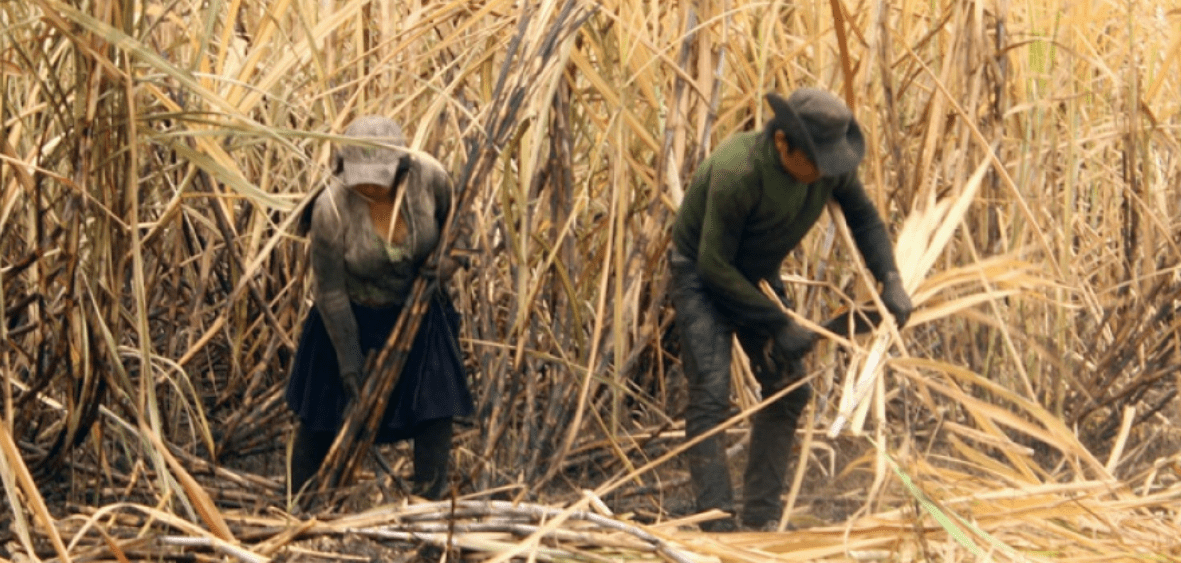 Zafra Bermejo en Tarija