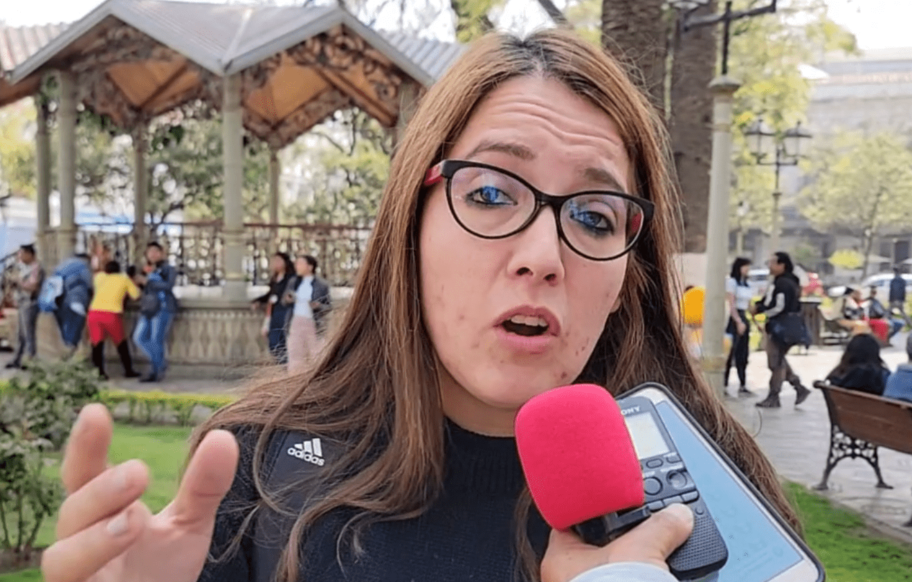 Luciana Campero, Diputada Nacional