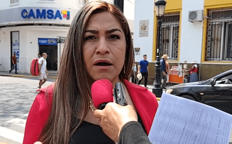 Marina Cachambi, Asambleísta Departamental