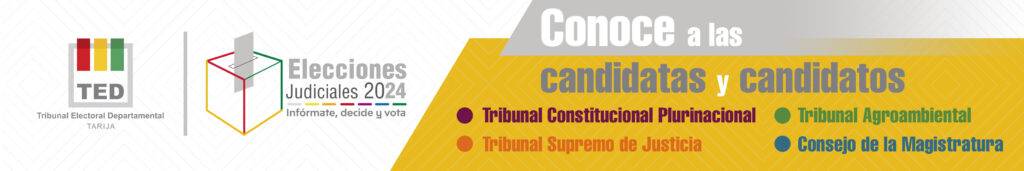 banner CONOCE A TUS CANDIDATOS 300x50_