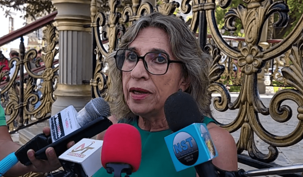 Soya Zamora, Senadora Nacional