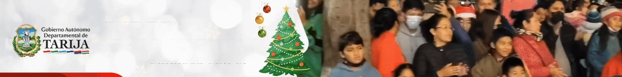 BANNER OM NAVIDAD